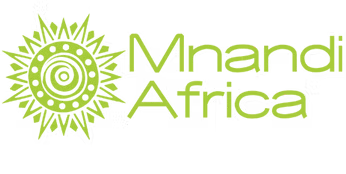 Mnandi Africa